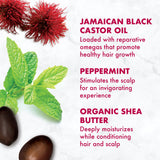 SheaMoisture Jamaican Black Castor Oil Strengthen, Grow & Restore Hair Serum, 2 Ounce - Beauty Fleet