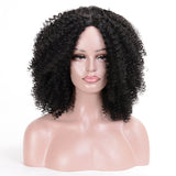 Brown Synthetic Curly Wigs for Women 4 Colors Ombre Short Afro Wig 14 Inches - Beauty Fleet