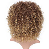 Brown Synthetic Curly Wigs for Women 4 Colors Ombre Short Afro Wig 14 Inches - Beauty Fleet