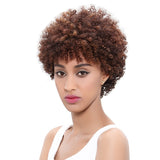 Human Hair Wig Brazilian Afro Kinky Curly Wigs Non Lace Front Human Hair Wigs - Beauty Fleet