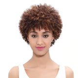 Human Hair Wig Brazilian Afro Kinky Curly Wigs Non Lace Front Human Hair Wigs - Beauty Fleet