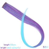 Long Straight color Hair Piece Synthetic Hair Extensions Clip In Highlight Rainbow Hair Streak Pink - Beauty Fleet