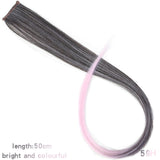 Long Straight color Hair Piece Synthetic Hair Extensions Clip In Highlight Rainbow Hair Streak Pink - Beauty Fleet