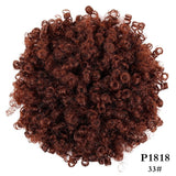 Synthetic Puff Short Kinky Curly Hair Bun Drawstring Ponytail - Beauty Fleet