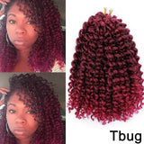 12inch Long Synthetic Ombre Kinky Curly Marley Braid Crochet Braid - Beauty Fleet