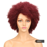 Afro Kinky Curly Wig Brazilian Human Hair Wigs Remy - Beauty Fleet