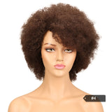 Afro Kinky Curly Wig Brazilian Human Hair Wigs Remy - Beauty Fleet