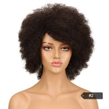 Afro Kinky Curly Wig Brazilian Human Hair Wigs Remy - Beauty Fleet