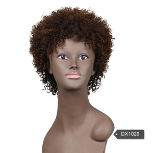 Human Hair Wig Brazilian Afro Kinky Curly Wigs Non Lace Front Human Hair Wigs - Beauty Fleet